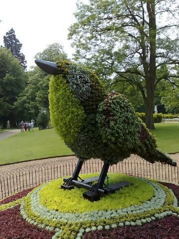 Sparrow Topiary