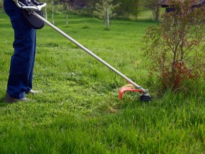 Straight vs. Curved Shaft Weed Trimmer 