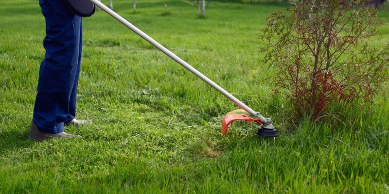 Straight vs. Curved Shaft Weed Trimmer 