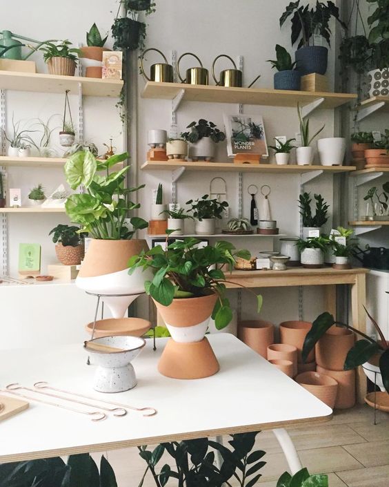 Suspended Plant Shelves