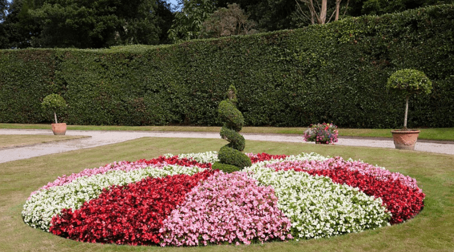 Unique Hedge Design 