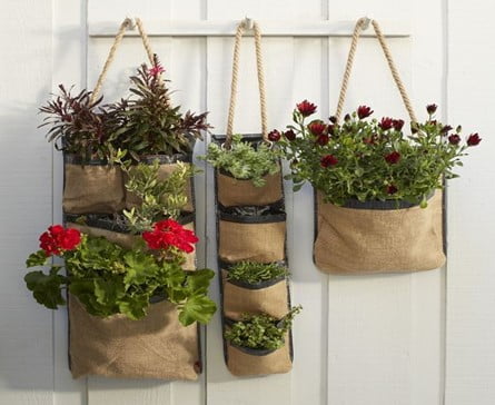 Wall Pocket Planter