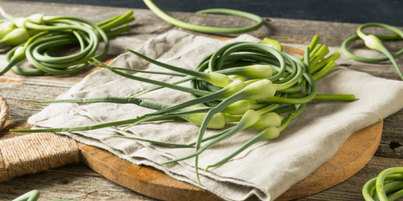 What are Garlic Scapes and What Can You Do with Them?