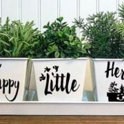 indoor herb garden ideas