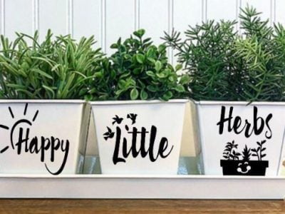 indoor herb garden ideas