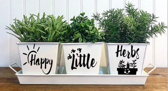 indoor herb garden ideas