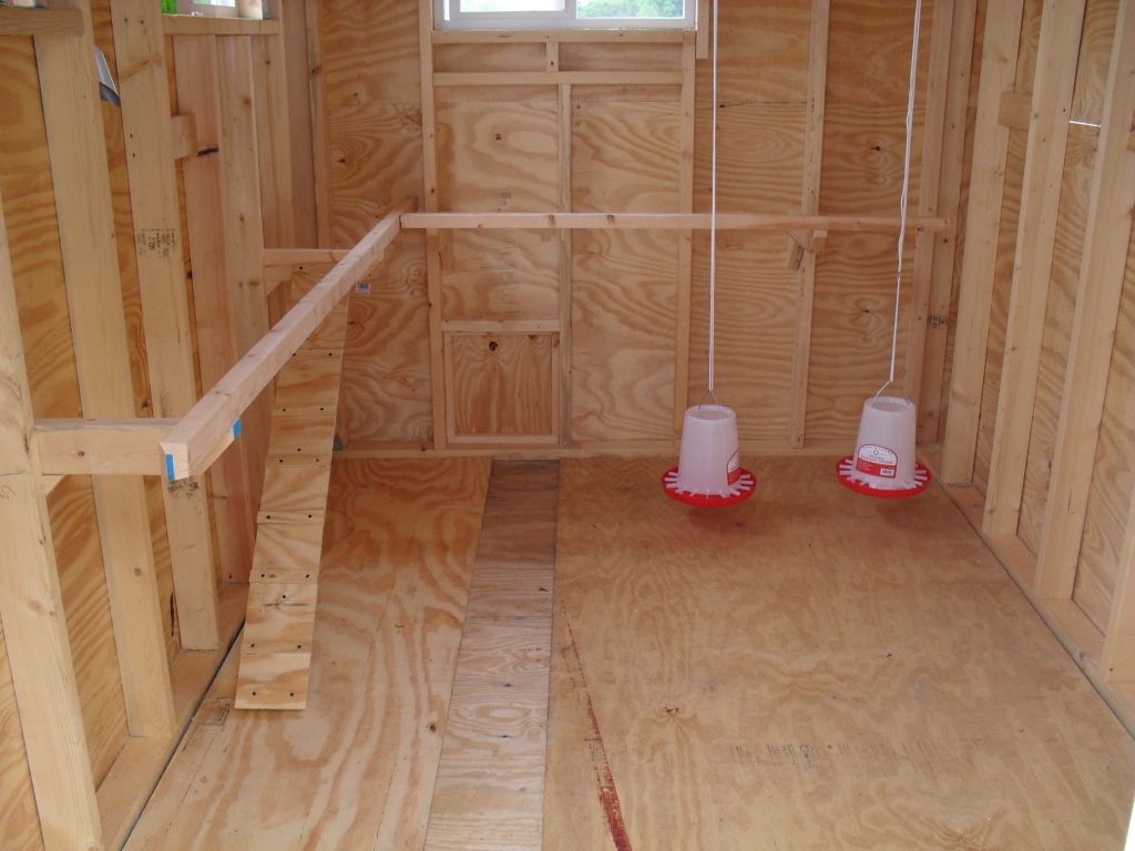 6 Best Option for a Chicken Coop Floor - Organize With Sandy