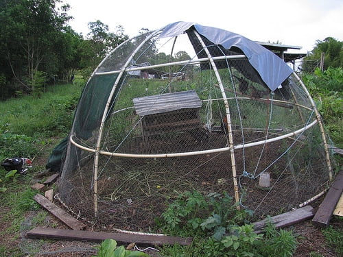 Dome-Shaped Coop