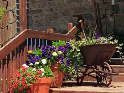 20 Best Wheelbarrow Planter Ideas