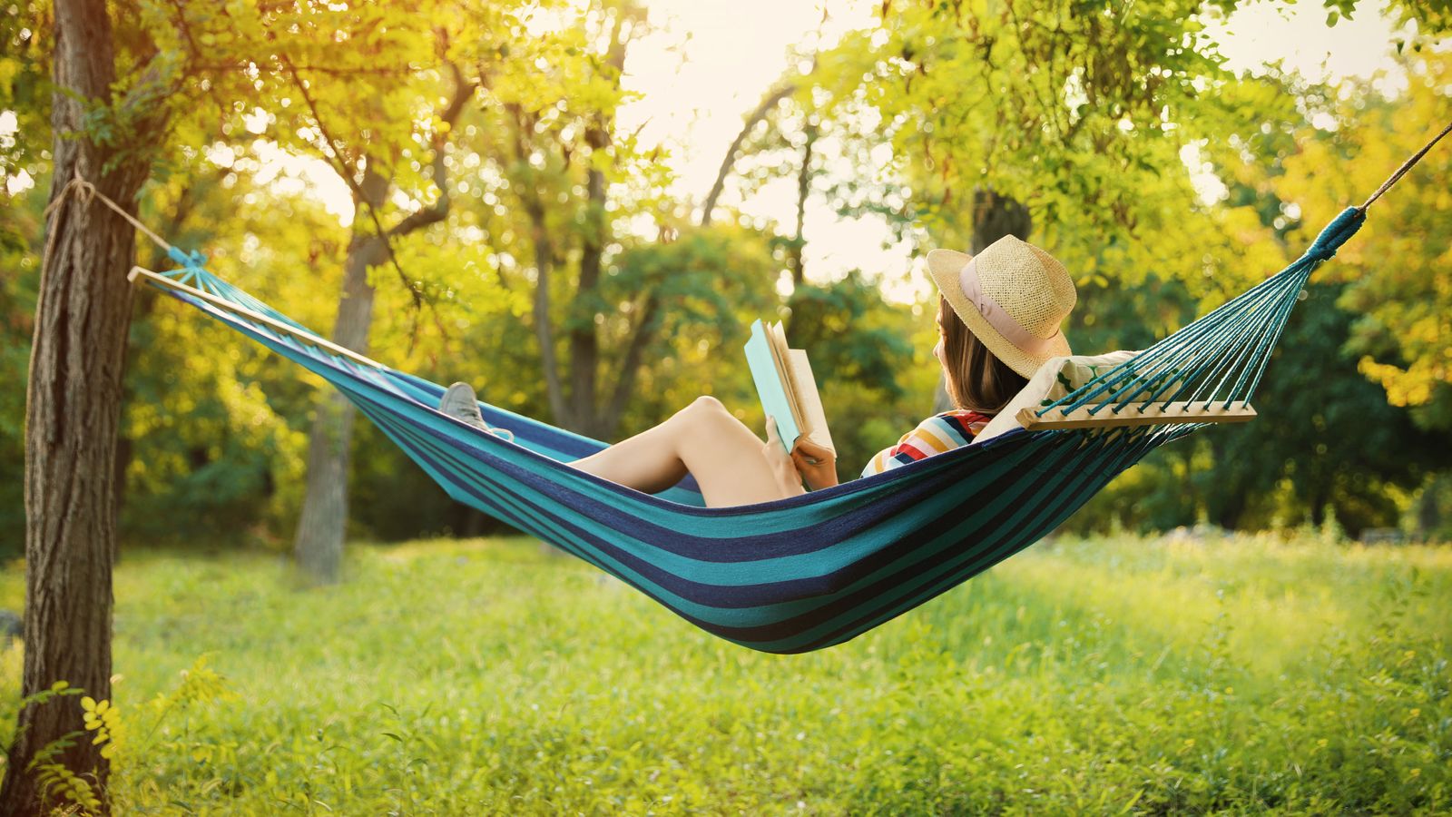 Hammock buying guide