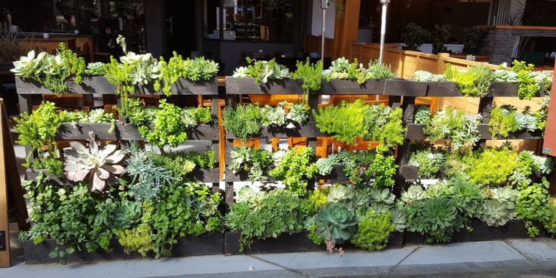 A pallet fence that integrates flower and succulent planters_Homeselfe