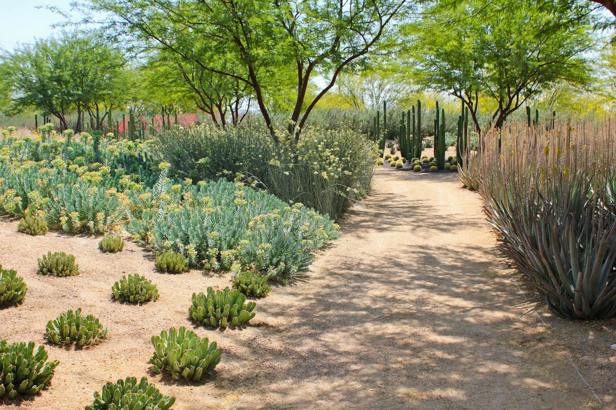 Decomposed Granite for desert landscapes_DG Landscaping