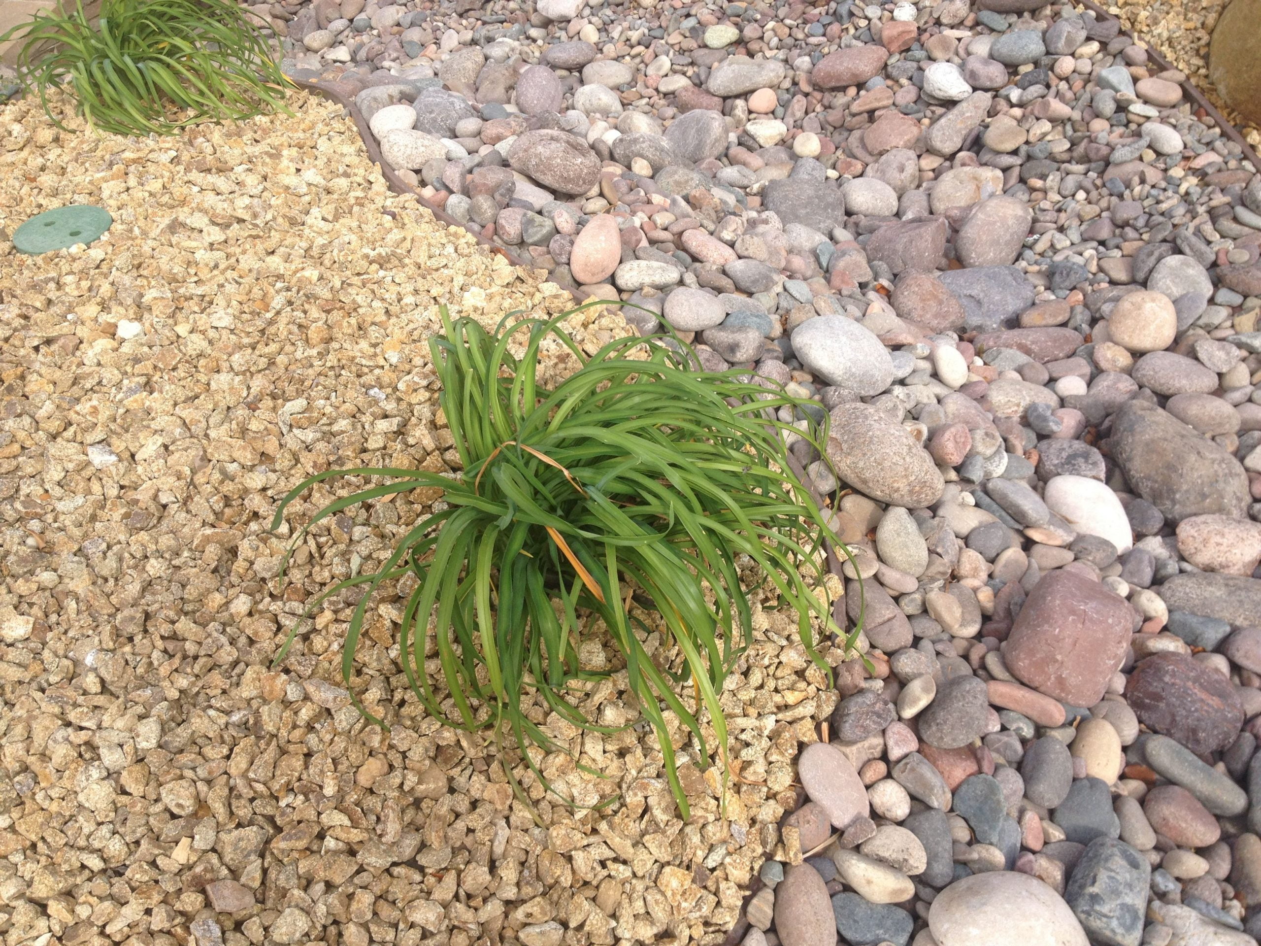  Crushed granite paired with river rocks for a desert landscape_Pinterest