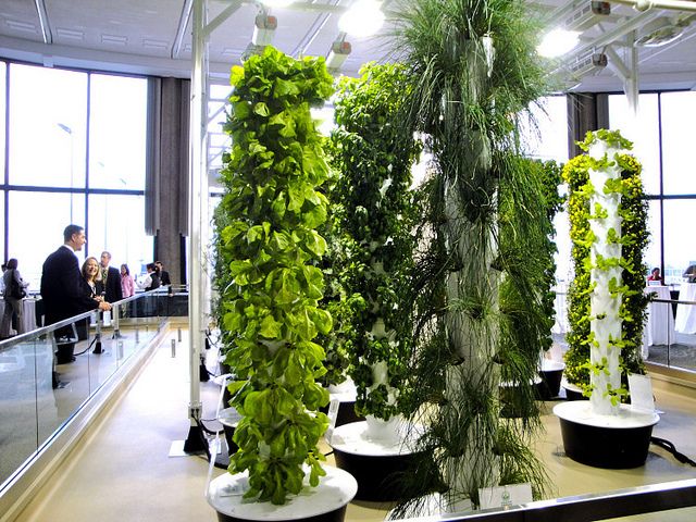 Aeroponic Tower Garden