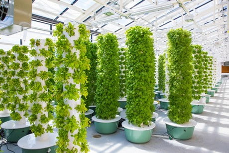 Aeroponics Tower Garden is Transportable