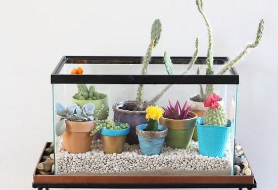 Bohemian Dish Tank Terrarium