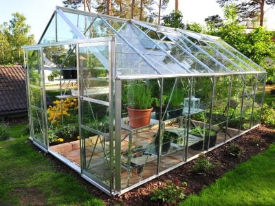 Can I Grow Anything in My Greenhouse During Winter