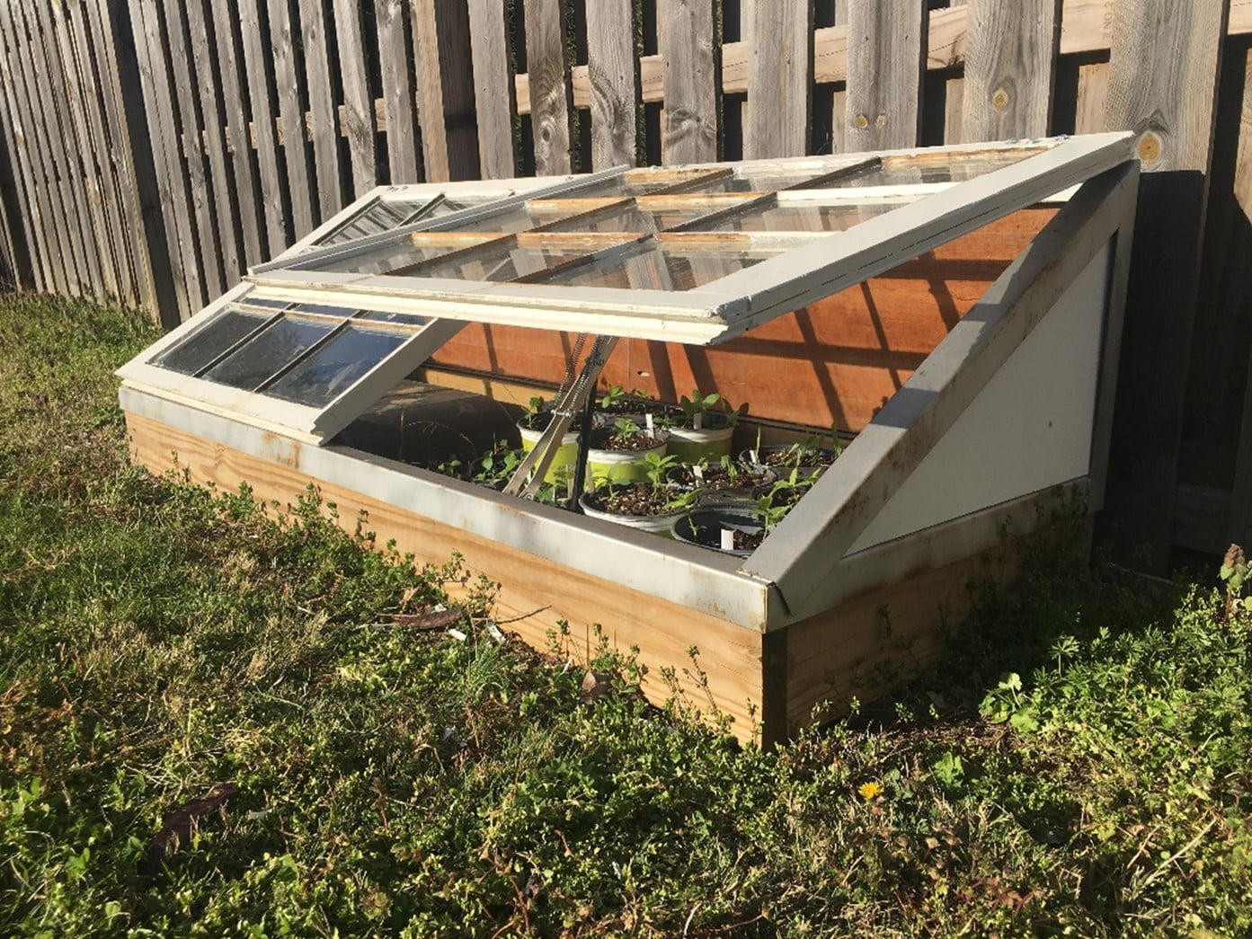 Cold Frame