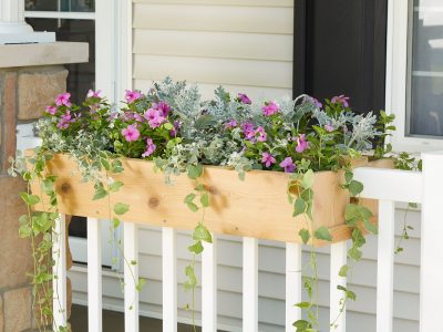 DIY Fence Planter Box Ideas