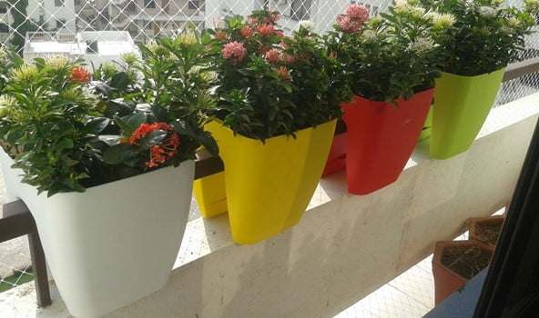 Fence Top Planter Buckets