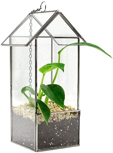 Glass Hut Hanging Terrarium