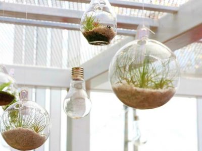 Hanging Terrarium Ideas