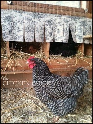 Homely Nesting Box