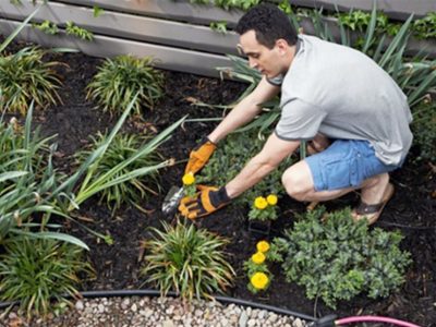 How to Prevent Weeds in Desert Landscape