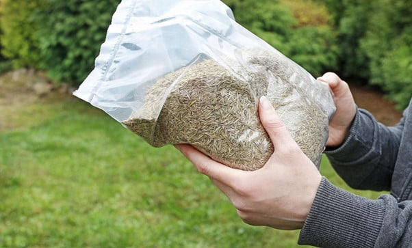 How to Store Grass Seed