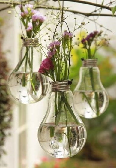 Light Bulb Terrarium