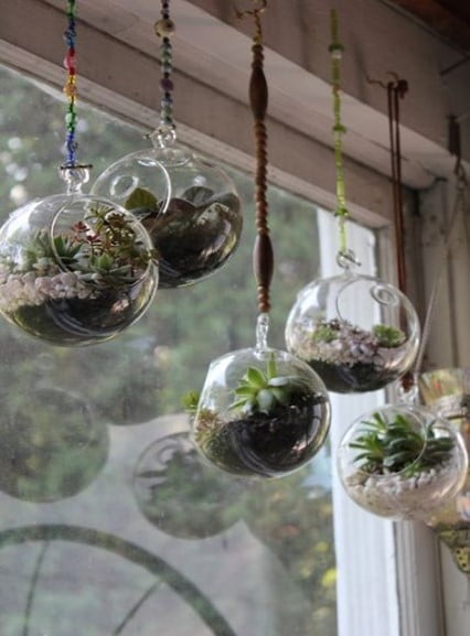 Multiple Hanging Bowl Terrarium