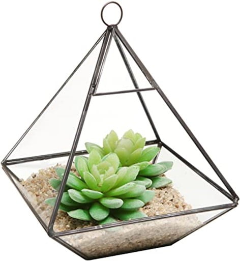 Prism Hanging Terrarium