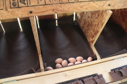 Rolled out Nesting Box