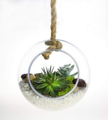 Rope Hanging Terrarium