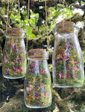 Secret Jar Hanging Terrarium