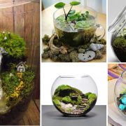 Small Terrarium Ideas