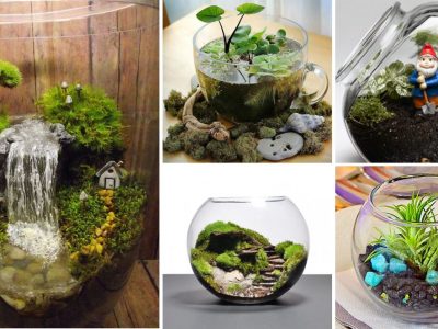 Small Terrarium Ideas