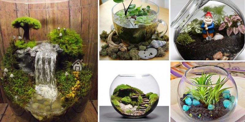 Small Terrarium Ideas