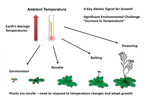 Temperature Requirements