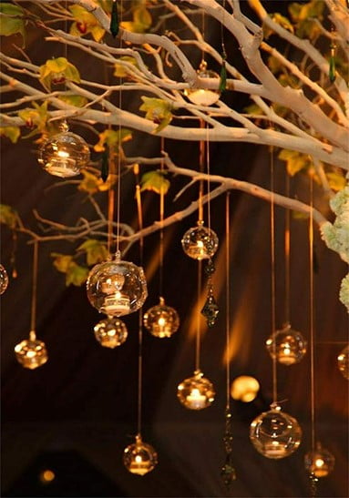 Tree Hanging Light Bulb Terrarium