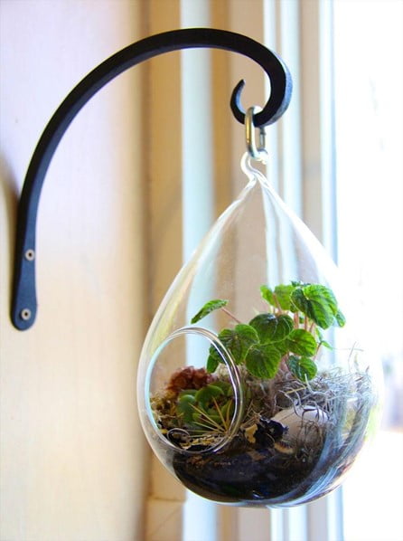 Wall Stand Glass Terrarium