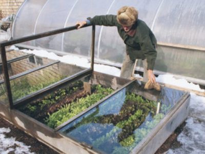 What Is A Cold Frame Greenhouse