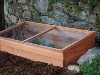 What Is a Coldframe Green House