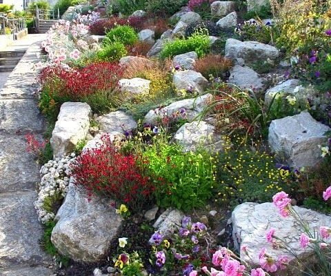 What Kind of Rock To Use On Hillside Landscaping