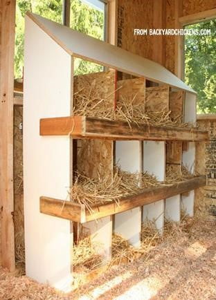 Wooden Chicken Box