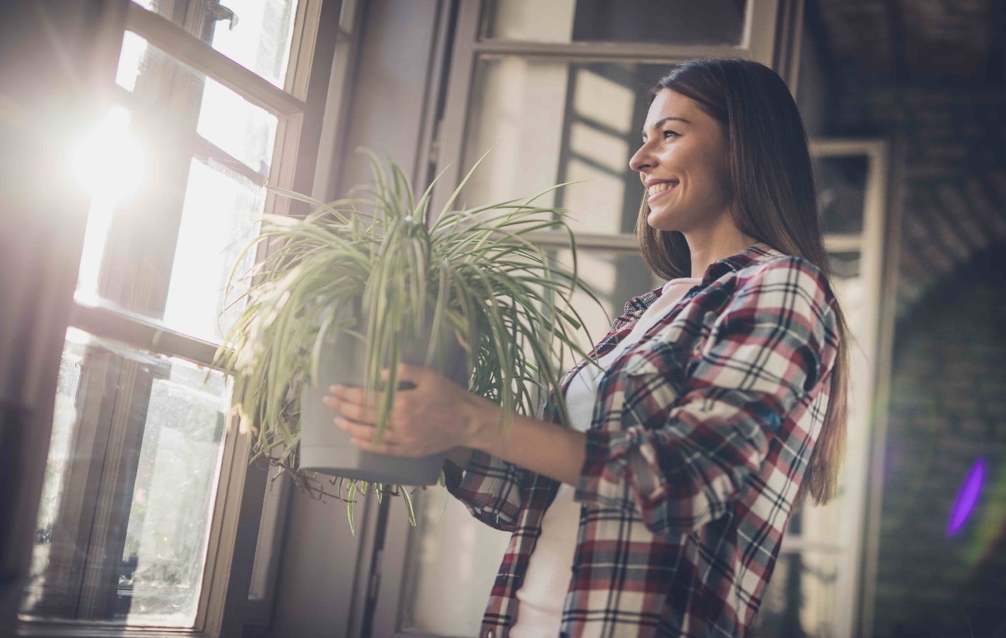 A woman ensuring ventilation for her plant.