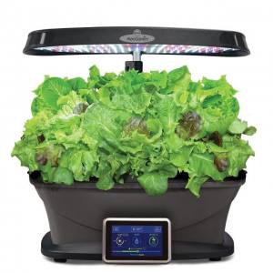 Aerogarden Bounty