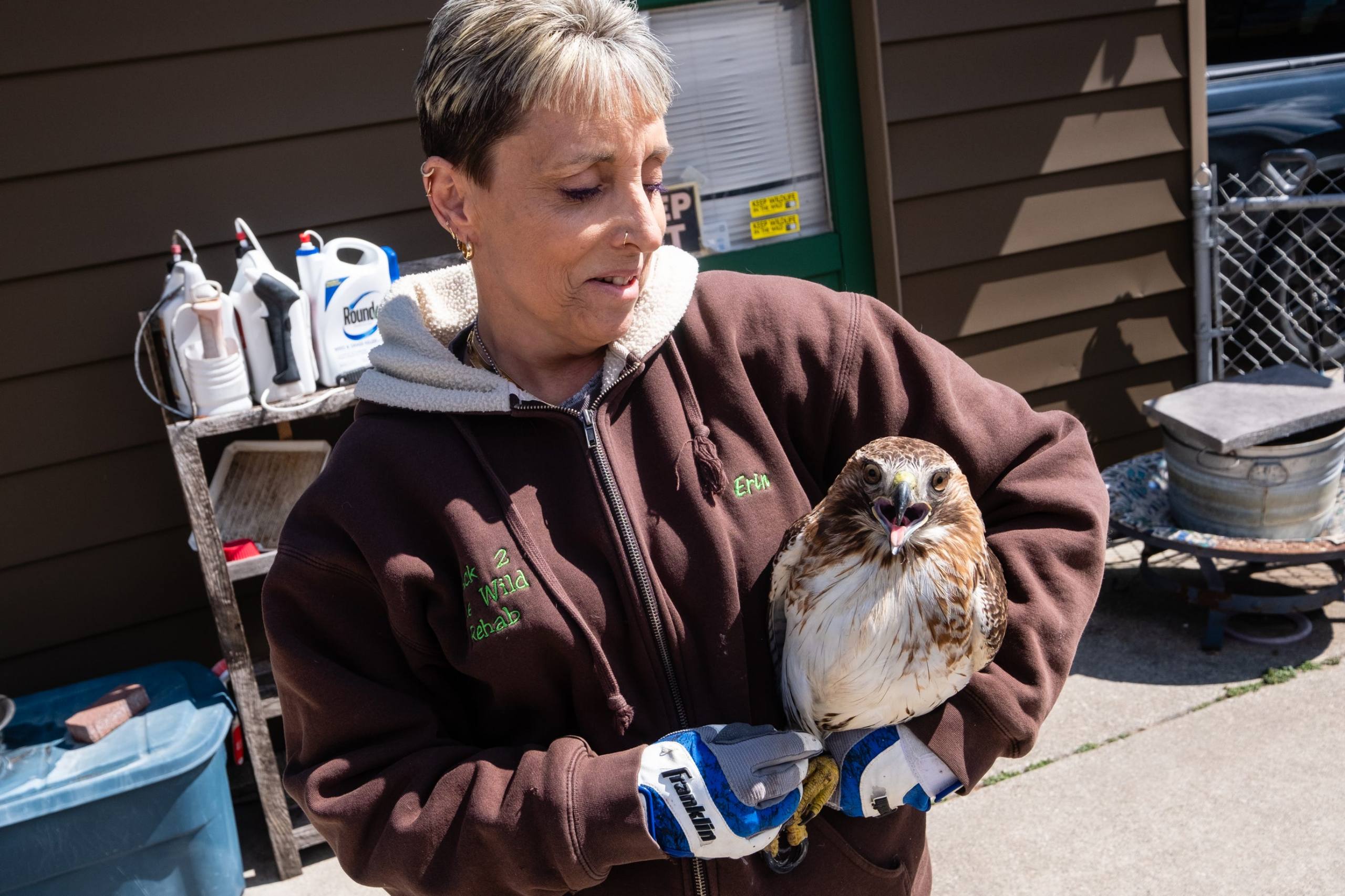 Call a Wildlife Rehabilitator