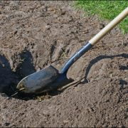 Drain Spade Vs Trenching Shovels -Understanding Key Differences