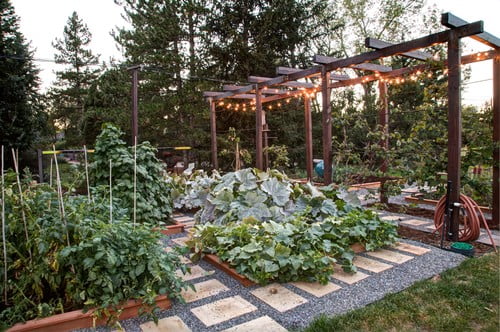 Edible Landscaping (Vegetable Garden)